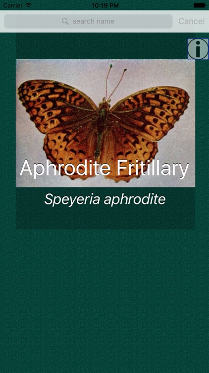 Butterfly Dictionary Pro