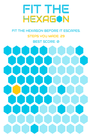 Fit The Hexagon screenshot 4