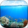 Deep Blue Sea Wallpaper.s – Beautiful Underwater HD Background.s and Lock Screen Pictures