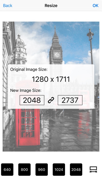 Image Resizer Pro - Image crop rotate resize