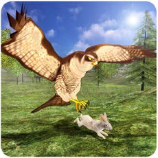 Activities of Wild Falcon Simulator 3D