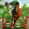 Horse Racing & Jumping Challenge