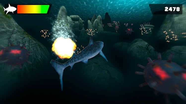 Sea Shark Adventure | Shark Swimming Game For Kids screenshot-4