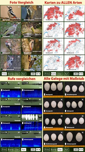 Vögel der Schweiz - ein Naturführer zum Bestimmen der heimis(圖3)-速報App