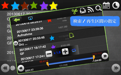 RecordKing Pro. screenshot 4