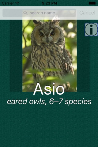 Owl Dictionary Pro screenshot 2