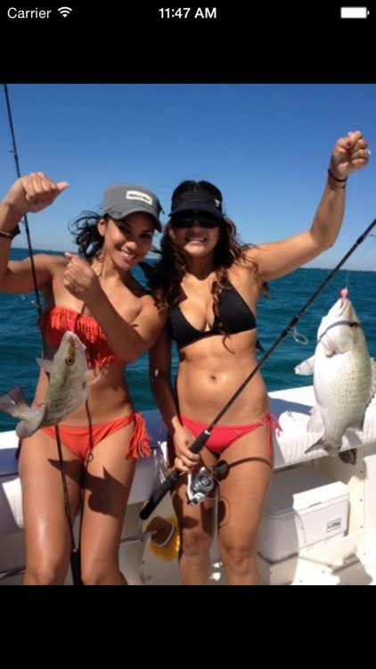 Fish iReports