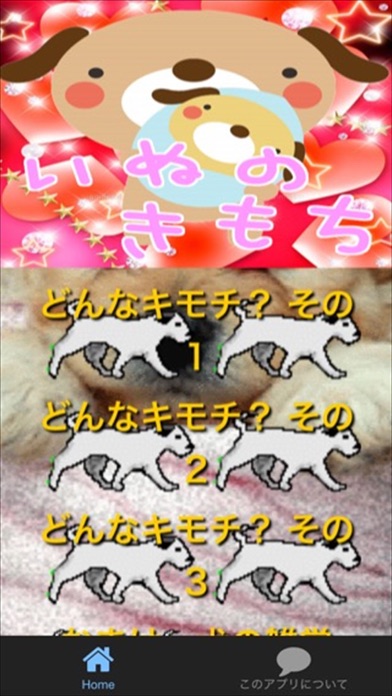 Awyuyxkprlihfm