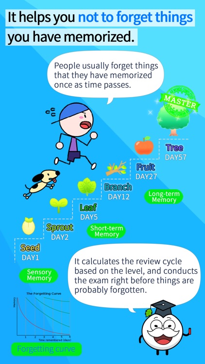 learn Spanish, Portuguses, Japanese, Chinese, korean, English, French, Itlian and other languages with LingoMaster