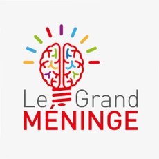 Activities of Le Grand Méninge