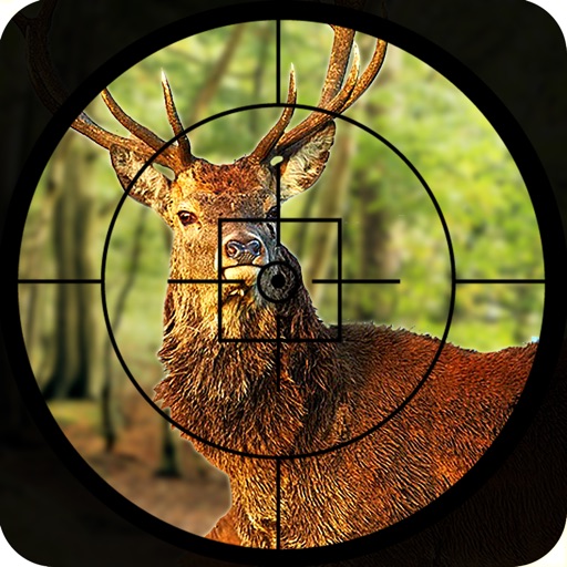 Safari Animal hunting 2016 – deer, bear and fox shooting game to increase  the shooting level. by Muhammad Jahangir Zafar