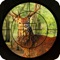 Safari Animal Hunting is the most visually stunning  and hunting simulator on mobile