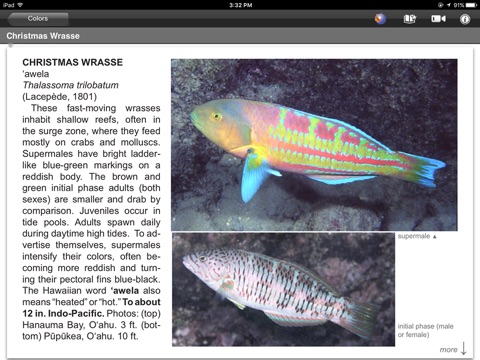 SnorkelFish Hawaii screenshot 2