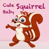 Cute Baby Squirrel