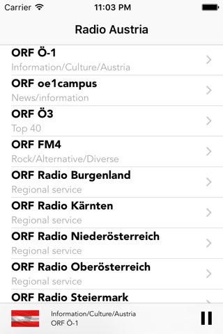 Radio Austria Live Stations screenshot 2