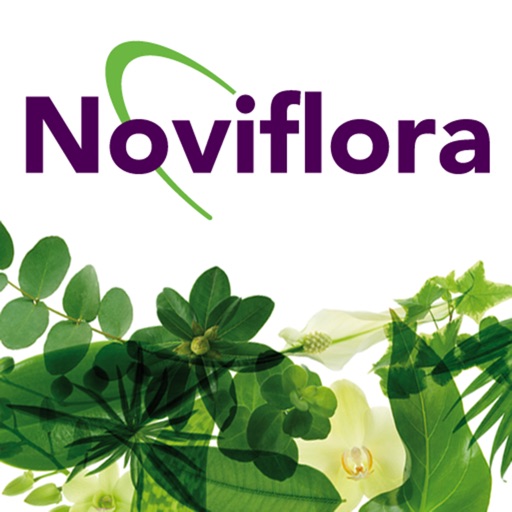 Noviflora