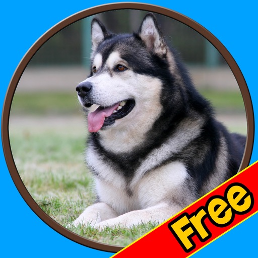 beautiful amazing dogs for kids - free Icon