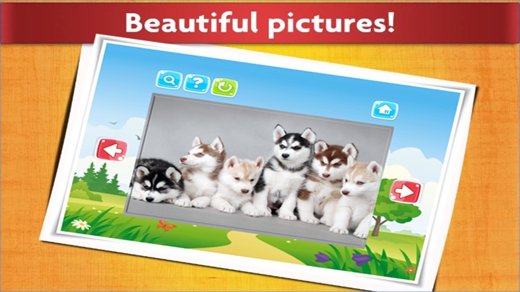 Cute Dog Jigsaw Puzzles for Kids - Animal Learning Fun Games