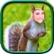 FUNNY FACE ON ANIMALS BODY - Funny Photo Changing App That Make Your Figure Like Beast