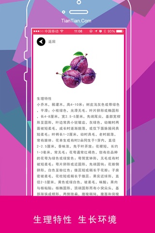 乌梅 screenshot 3