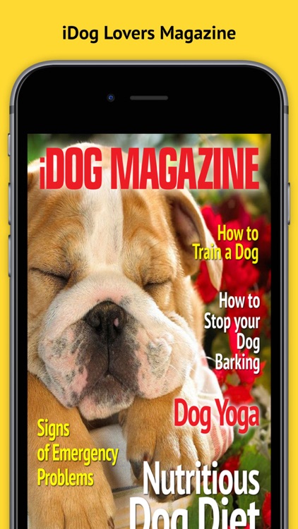 iDog Magazine - The Best new Dog, Puppy Training, advice and tips Magazine for Dog Owners