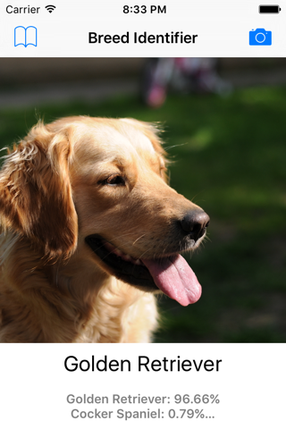 Dog Breed Identifier - Automatically identify a dog breed from a photo screenshot 4