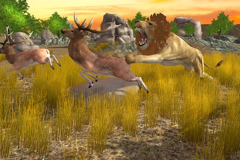 Lion Simulator Animal Survival -  Play as a wild Lion in the Jungle screenshot 3