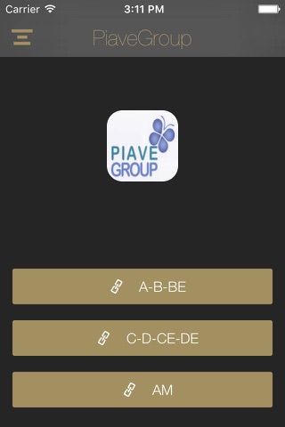 Piave Group screenshot 2