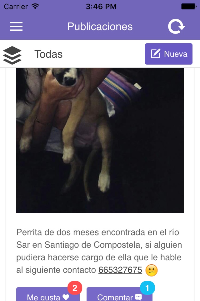 Petsbook.es screenshot 3