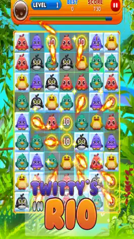 Game screenshot Twittys in Rio - Free Birds Puzzle Game hack
