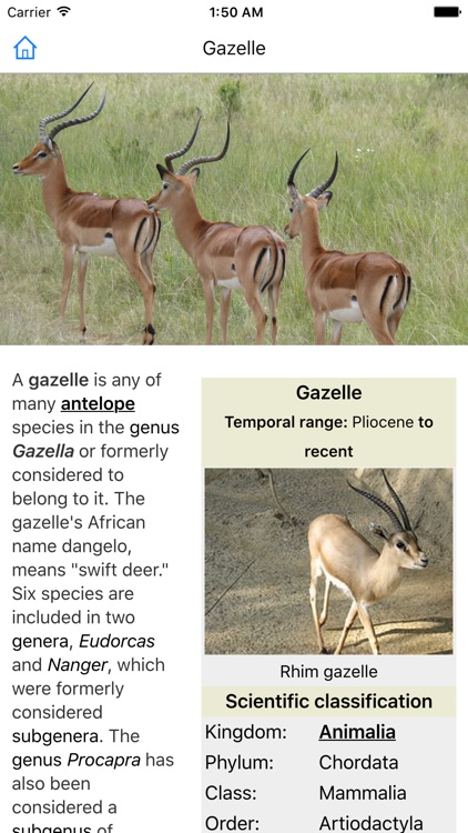 CHI Encyclopedia of Animals