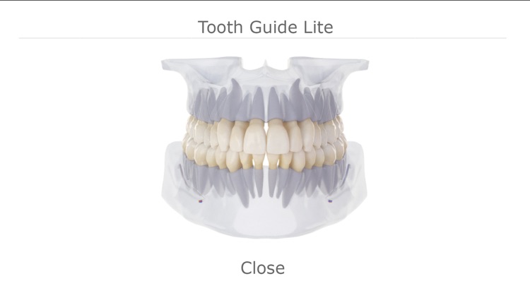 Tooth Guide Lite