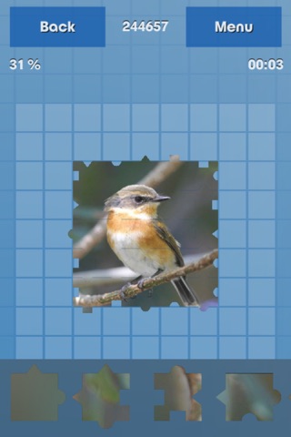 Birds Puzzle Guru screenshot 2