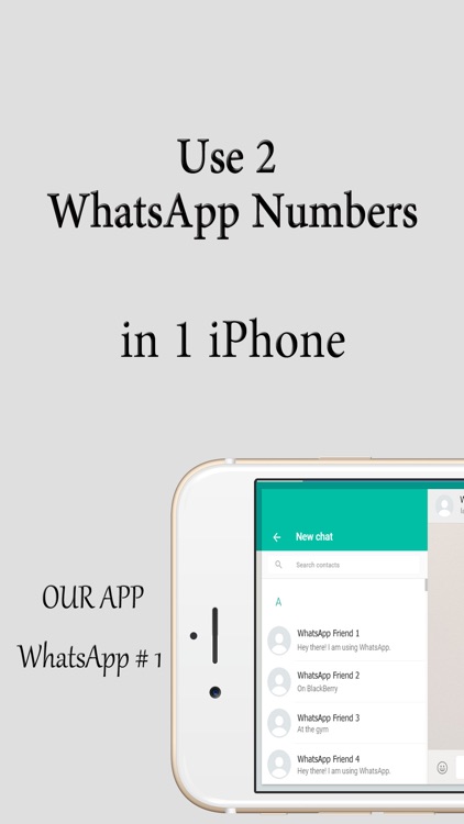 Dual Accounts for WhatsApp with LOCK (for iPad, iPod & iPhone)