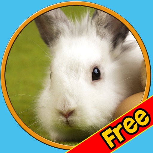 verry funny rabbits for kids - free icon