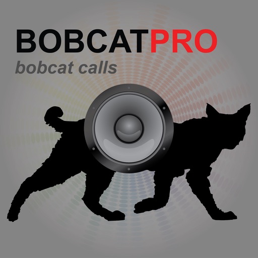 Bobcat Hunting Calls - With Bluetooth - Ad Free HD Icon
