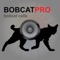 Bobcat Hunting Calls - With Bluetooth - Ad Free HD