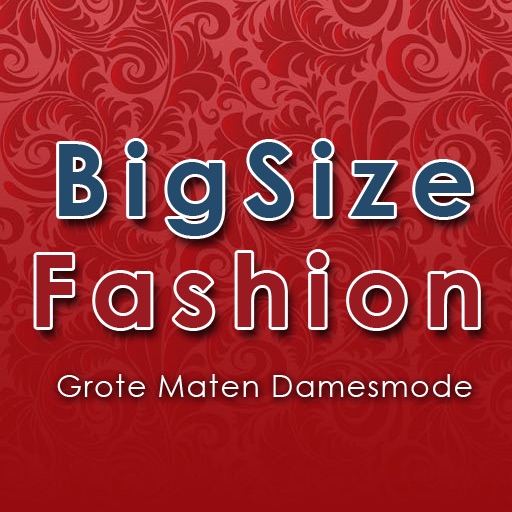 BigSize Fashion