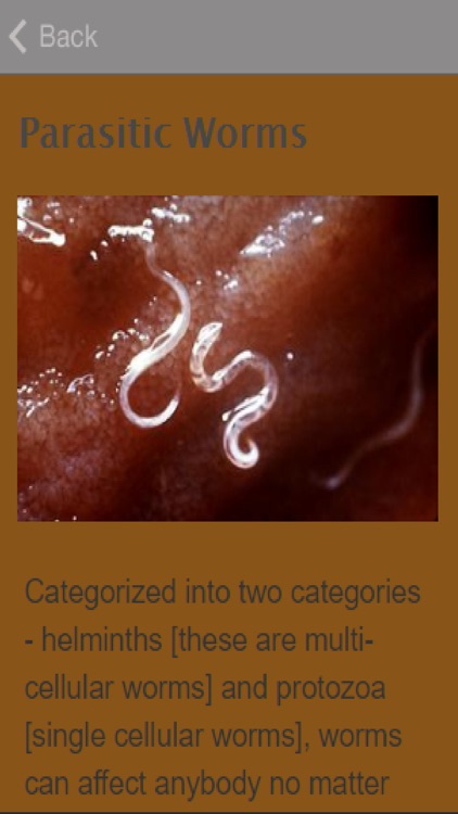 Symptoms Of Worms