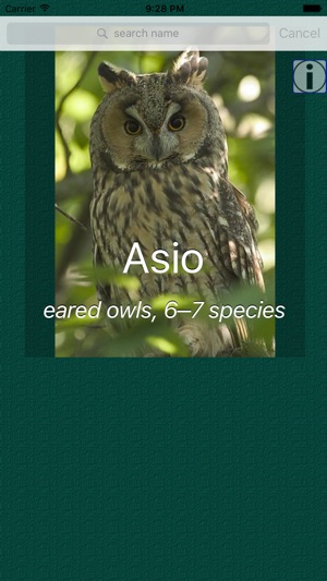 Owl Dictionary Pro(圖2)-速報App