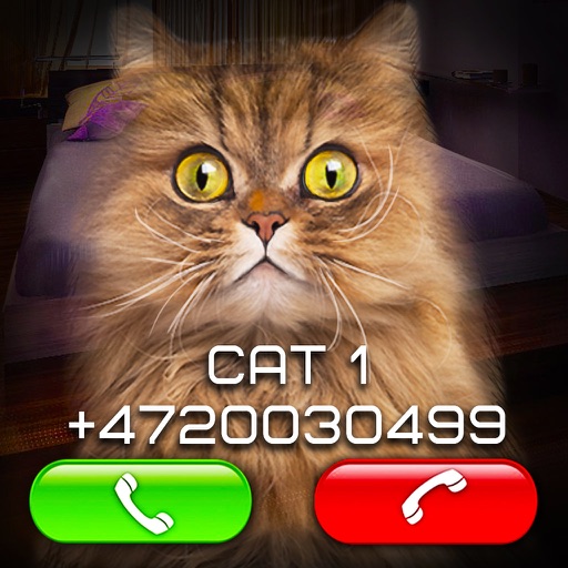 Fake Video Call Cat Icon