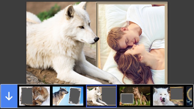 Wolf Photo Frame - Great and Fantastic F