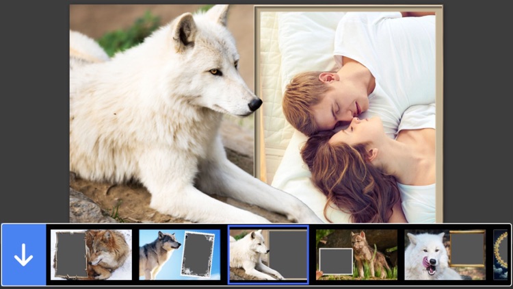 Wolf Photo Frame - Great and Fantastic Frames for your photo