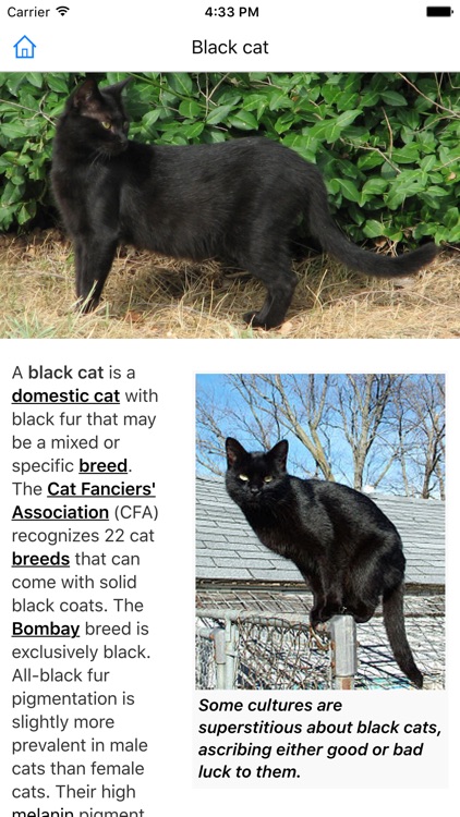 CHI Encyclopedia of Cats