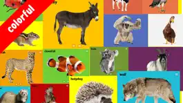 Game screenshot 100 Animal Words for Babies & Toddlers hack