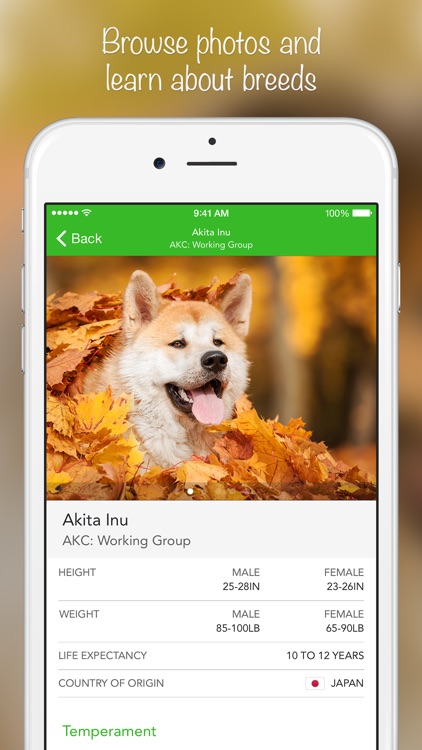 iKnow Dogs 2 LITE - NATURE MOBILE - Dog Breed Guide and Quiz Game