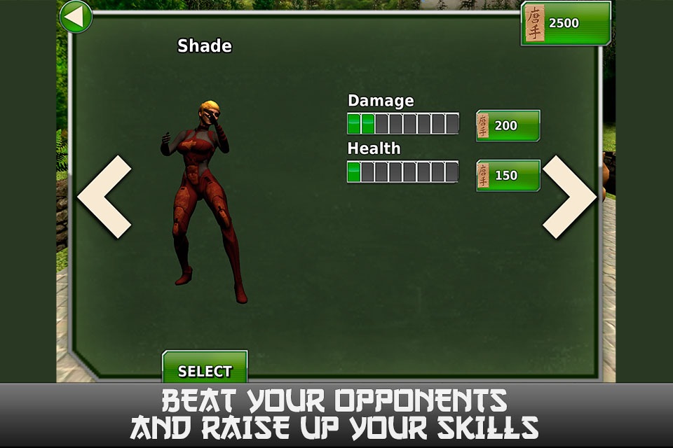 Ninja Revenge: Kung Fu Fighting screenshot 3