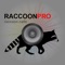 REAL Raccoon Calls & Raccoon Sounds for Raccoon Hunting -- (ad free) BLUETOOTH COMPATIBLE