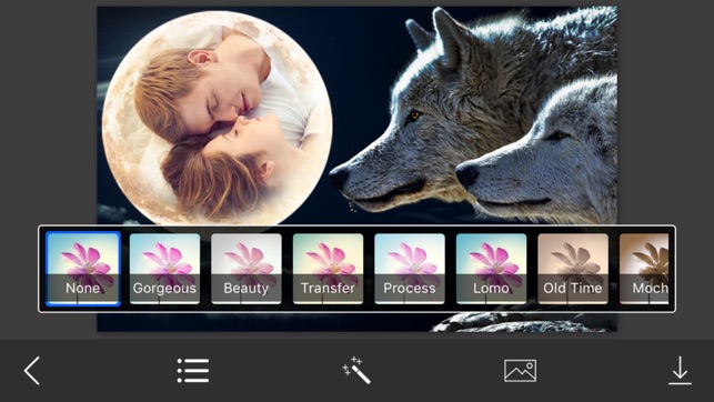 Wolf Photo Frame - Great and Fantastic Frames for your photo(圖3)-速報App