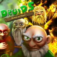 Activities of Druids: Battle of Magic